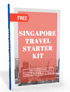 singapore travel starter kit